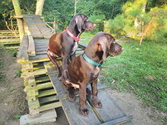 Gaby, and her brother Argo ..