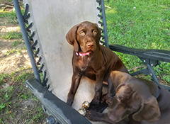 Mila - interacting with her brother...