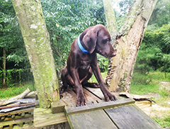 Remi, .. on Ramp posing..